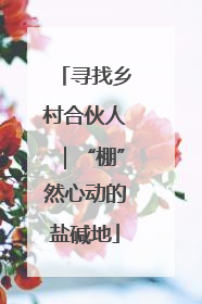 寻找乡村合伙人｜“棚”然心动的盐碱地