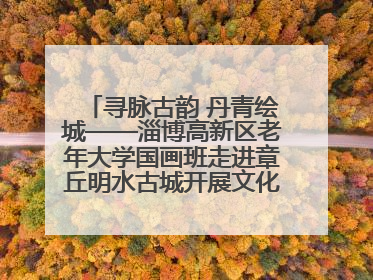 寻脉古韵 丹青绘城——淄博高新区老年大学国画班走进章丘明水古城开展文化研学活动