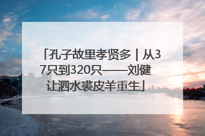 孔子故里孝贤多｜从37只到320只——刘健让泗水裘皮羊重生