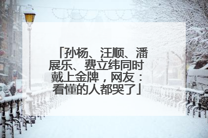孙杨、汪顺、潘展乐、费立纬同时戴上金牌，网友：看懂的人都哭了