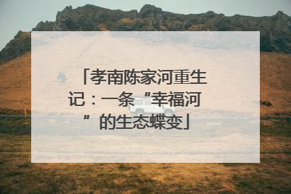孝南陈家河重生记：一条“幸福河”的生态蝶变