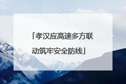 孝汉应高速多方联动筑牢安全防线