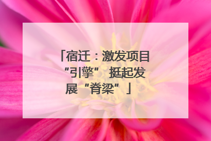 宿迁：激发项目“引擎” 挺起发展“脊梁”