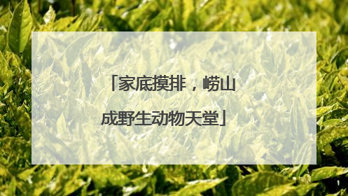 家底摸排，崂山成野生动物天堂