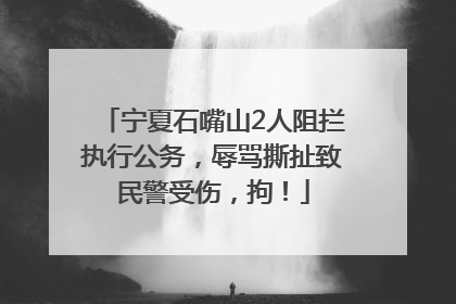 宁夏石嘴山2人阻拦执行公务，辱骂撕扯致民警受伤，拘！