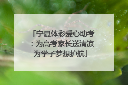 宁夏体彩爱心助考：为高考家长送清凉 为学子梦想护航