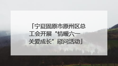 宁夏固原市原州区总工会开展“情暖六一 关爱成长”慰问活动