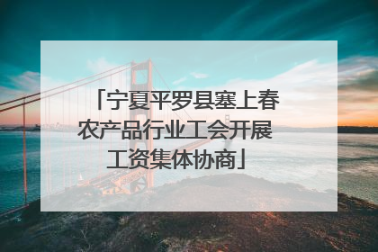宁夏平罗县塞上春农产品行业工会开展工资集体协商