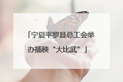 宁夏平罗县总工会举办插秧“大比武”