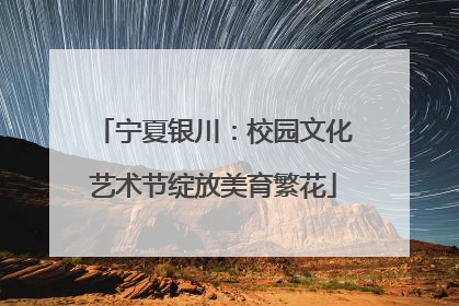 宁夏银川：校园文化艺术节绽放美育繁花