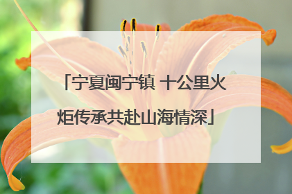 宁夏闽宁镇 十公里火炬传承共赴山海情深