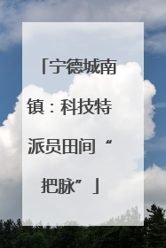 宁德城南镇：科技特派员田间“把脉”
