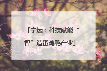 宁远：科技赋能“智”造蛋鸡鸭产业
