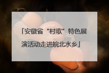 安徽省“村歌”特色展演活动走进皖北水乡