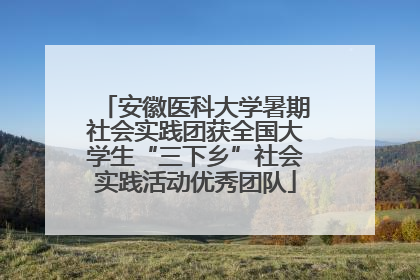 安徽医科大学暑期社会实践团获全国大学生“三下乡”社会实践活动优秀团队