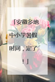 安徽多地中小学暑假时间，定了！