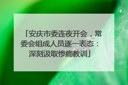 安庆市委连夜开会，常委会组成人员逐一表态：深刻汲取惨痛教训