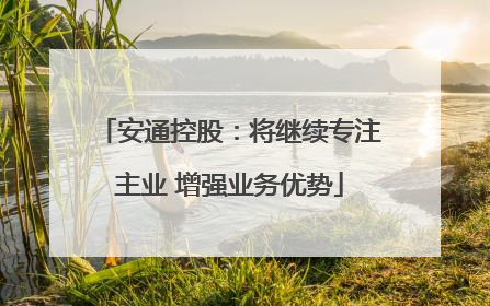 安通控股：将继续专注主业 增强业务优势