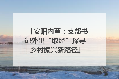 安阳内黄：支部书记外出“取经”探寻乡村振兴新路径