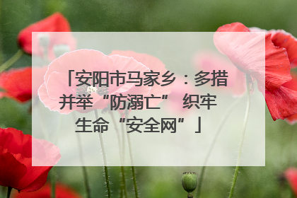 安阳市马家乡：多措并举“防溺亡” 织牢生命“安全网”