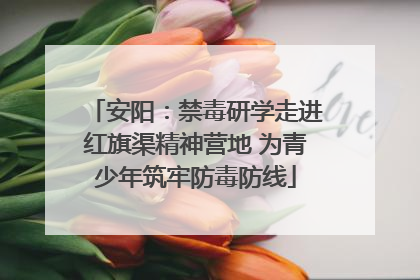 安阳：禁毒研学走进红旗渠精神营地 为青少年筑牢防毒防线
