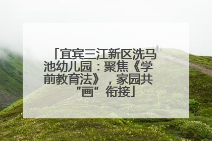 宜宾三江新区洗马池幼儿园：聚焦《学前教育法》，家园共“画”衔接