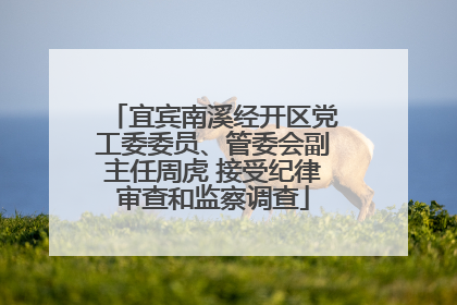 宜宾南溪经开区党工委委员、管委会副主任周虎 接受纪律审查和监察调查