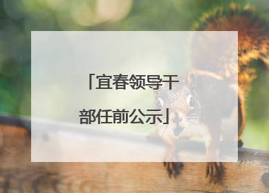 宜春领导干部任前公示