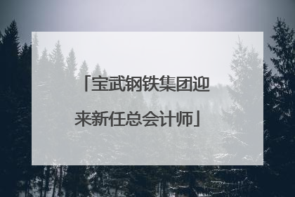 宝武钢铁集团迎来新任总会计师