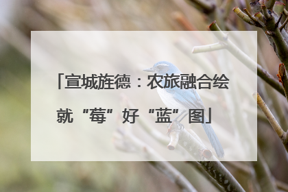 宣城旌德：农旅融合绘就“莓”好“蓝”图