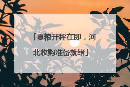 夏粮开秤在即，河北收购准备就绪