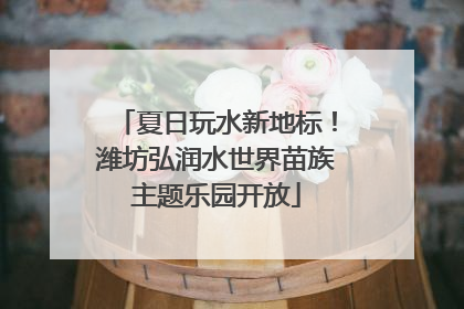夏日玩水新地标！潍坊弘润水世界苗族主题乐园开放