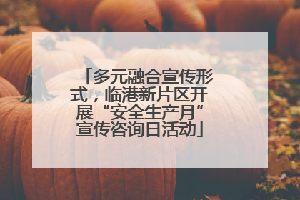 多元融合宣传形式，临港新片区开展“安全生产月”宣传咨询日活动