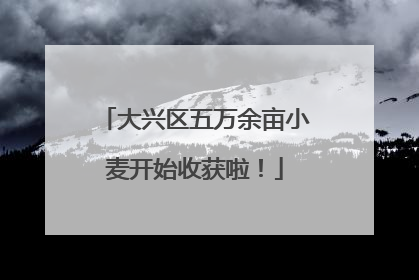 大兴区五万余亩小麦开始收获啦！