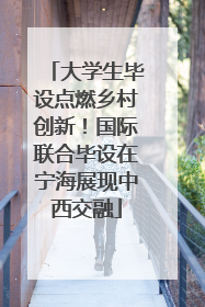 大学生毕设点燃乡村创新！国际联合毕设在宁海展现中西交融