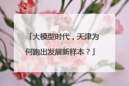 大模型时代，天津为何跑出发展新样本？