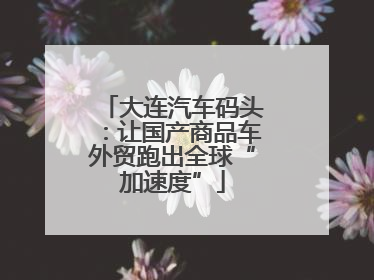 大连汽车码头：让国产商品车外贸跑出全球“加速度”