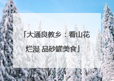 大通良教乡：看山花烂漫 品砂罐美食
