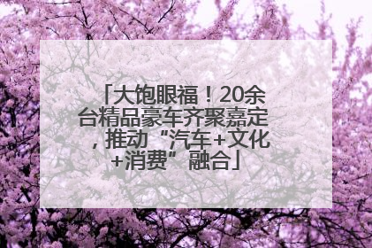 大饱眼福！20余台精品豪车齐聚嘉定，推动“汽车+文化+消费”融合