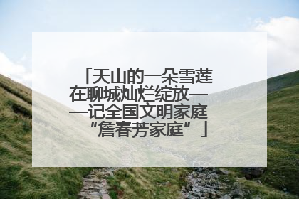 天山的一朵雪莲在聊城灿烂绽放——记全国文明家庭“詹春芳家庭”