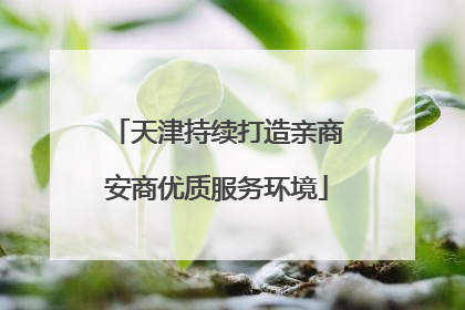 天津持续打造亲商安商优质服务环境