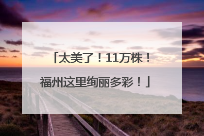 太美了！11万株！福州这里绚丽多彩！