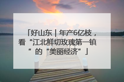 好山东｜年产6亿枝，看“江北鲜切玫瑰第一镇”的“美丽经济”