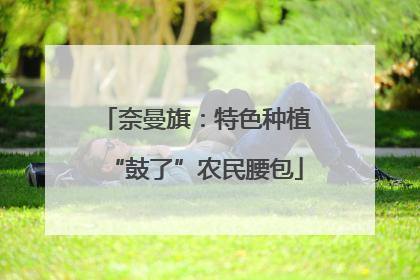 奈曼旗：特色种植“鼓了”农民腰包