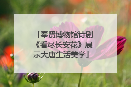 奉贤博物馆诗剧《看尽长安花》展示大唐生活美学