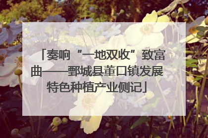 奏响“一地双收”致富曲——鄄城县董口镇发展特色种植产业侧记
