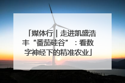 媒体行｜走进凯盛浩丰“番茄硅谷”：看数字神经下的精准农业
