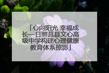 心向阳光 幸福成长—日照莒县文心高级中学构建心理健康教育体系掠影