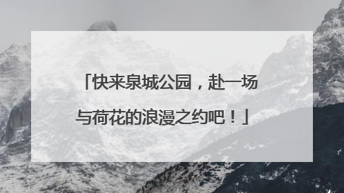 快来泉城公园，赴一场与荷花的浪漫之约吧！