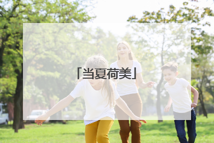 当夏荷美